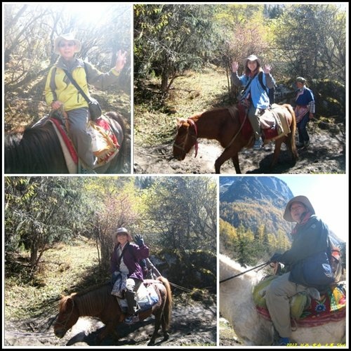四姑娘山_長坪溝