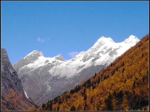 四姑娘山_長坪溝
