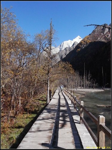 四姑娘山_長坪溝