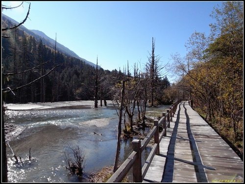 四姑娘山_長坪溝