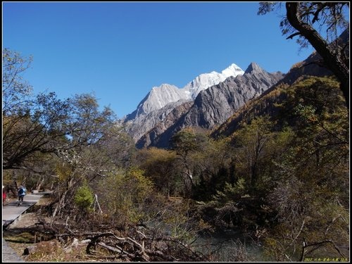 四姑娘山_長坪溝