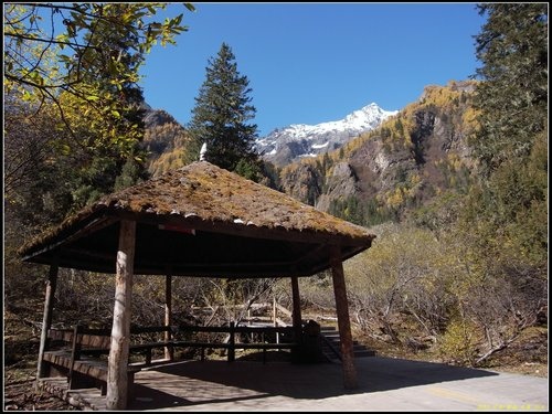 四姑娘山_長坪溝