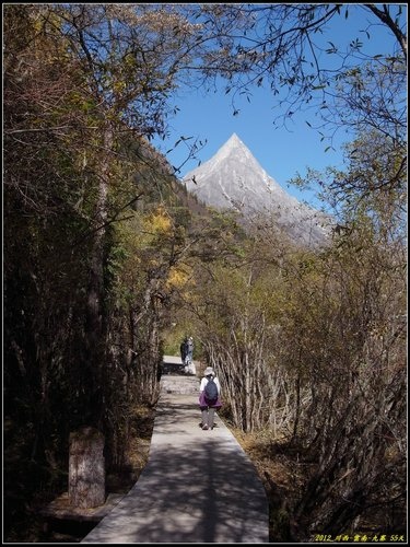 四姑娘山_長坪溝