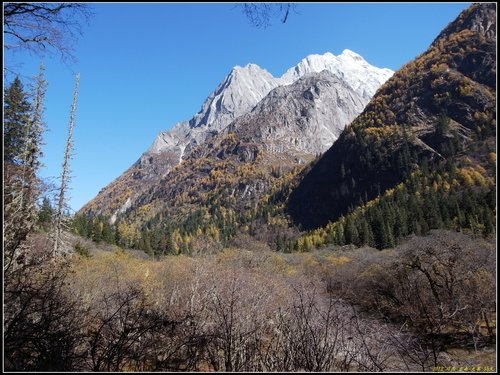 四姑娘山_長坪溝