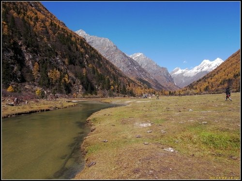 四姑娘山_長坪溝
