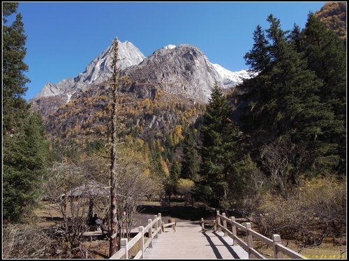 四姑娘山_長坪溝