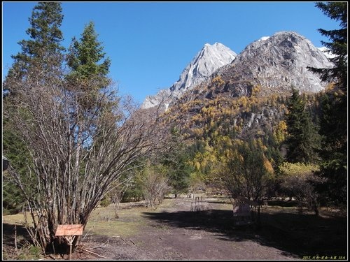 四姑娘山_長坪溝