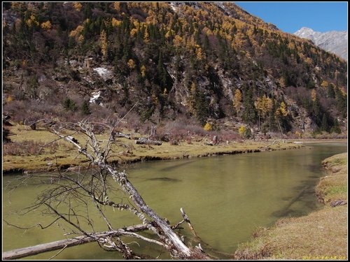 四姑娘山_長坪溝