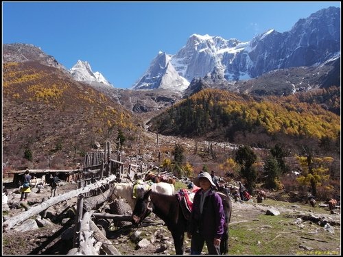 四姑娘山_長坪溝