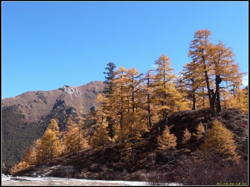 亞丁_冲古寺_珍珠海