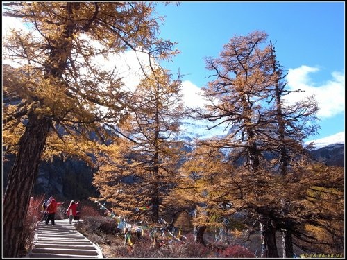 亞丁_冲古寺_珍珠海