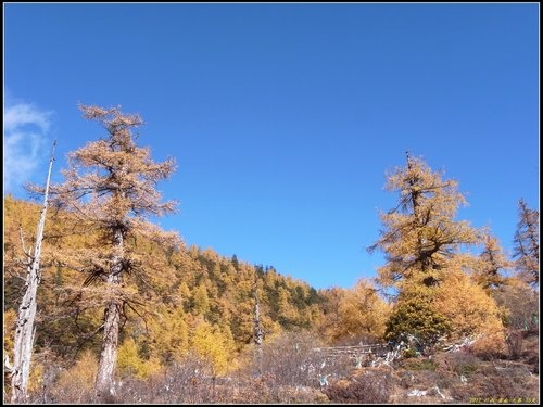 亞丁_冲古寺_珍珠海