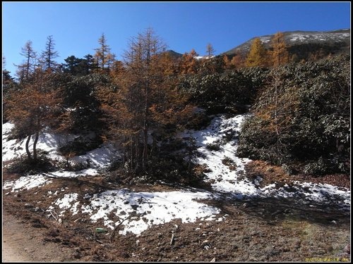 奔子攔._德欽_飛來寺_梅里雪山