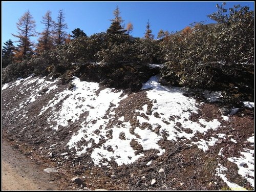 奔子攔._德欽_飛來寺_梅里雪山