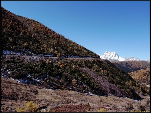 奔子攔._德欽_飛來寺_梅里雪山