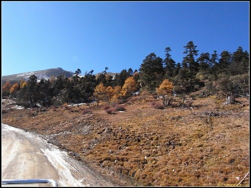 奔子攔._德欽_飛來寺_梅里雪山