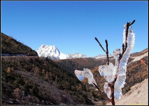 奔子攔._德欽_飛來寺_梅里雪山 奔子攔._德欽_飛來寺_梅里雪山