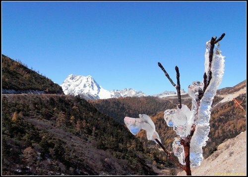 奔子攔._德欽_飛來寺_梅里雪山