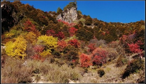 香格里拉(中甸)