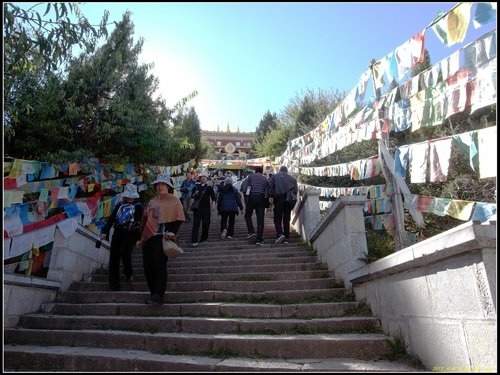 香格里拉(中甸)