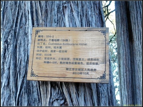 麗江_萬古樓 麗江_萬古樓