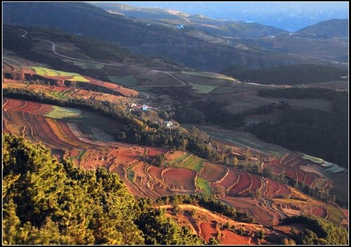 東川紅土地