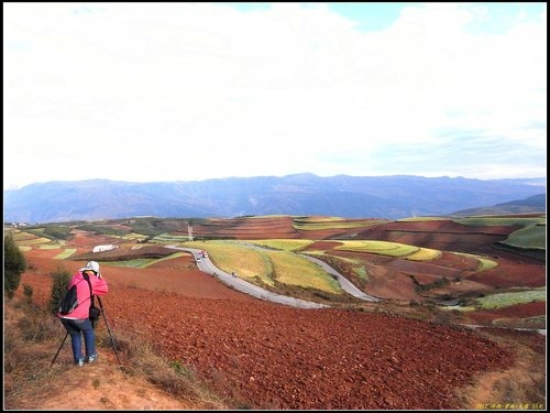 東川紅土地