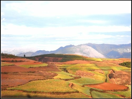 東川紅土地