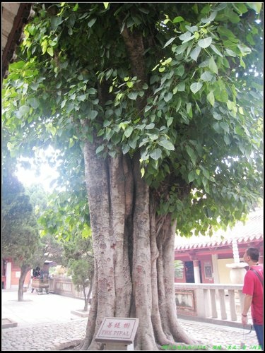 泉州一日遊