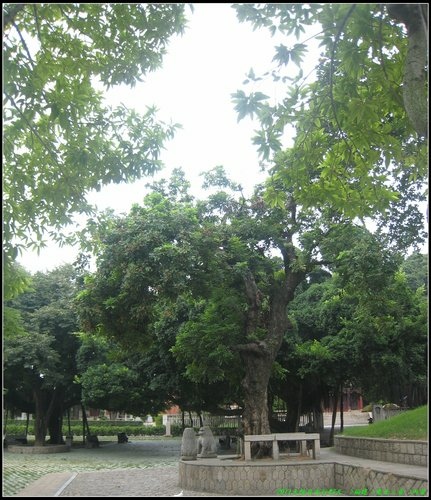 泉州一日遊