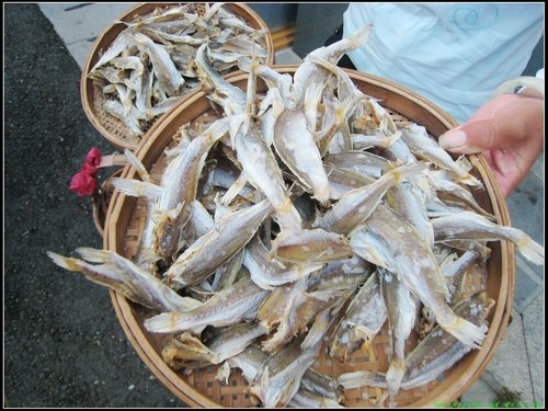 湄洲島一日遊
