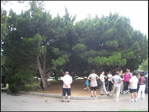 旅順一日遊 旅順一日遊