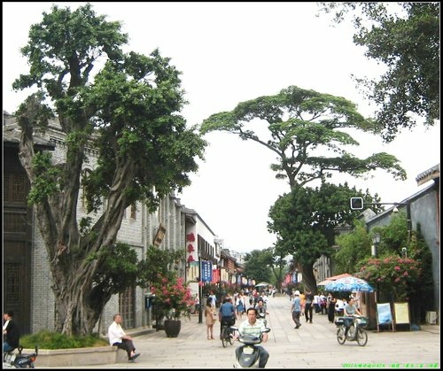 福州-廈門.金門.台北