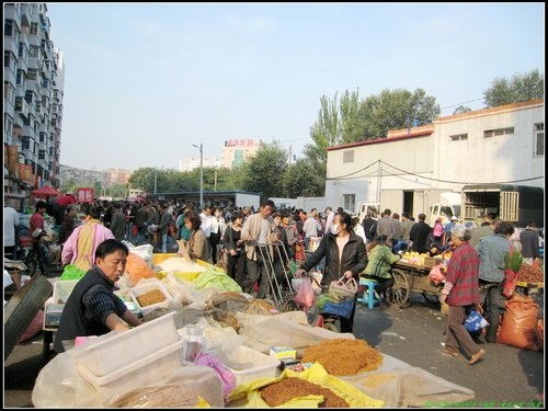 瀋陽半日遊