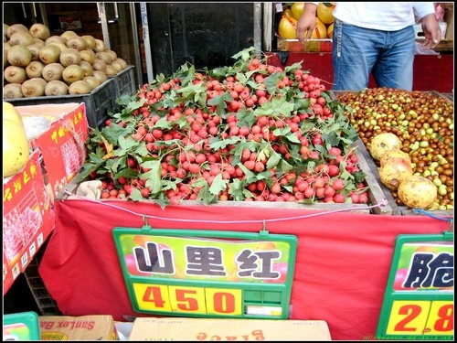 瀋陽半日遊