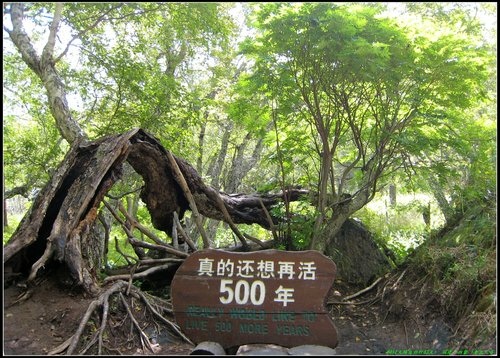 長白山天池 長白山天池