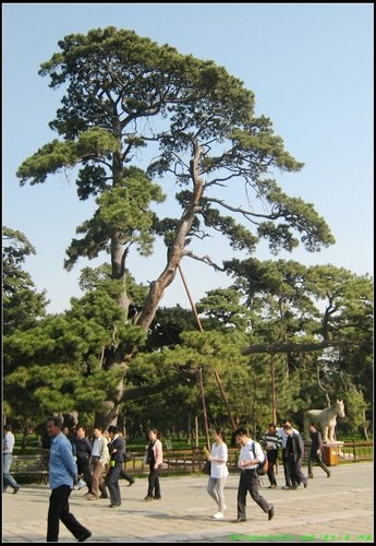 瀋陽 - 怪坡 - 北陵(清昭陵)