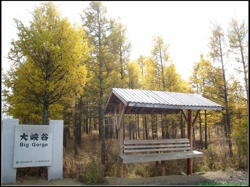 阿爾山大峽谷-杜鵑湖-石塘林-三潭峽 阿爾山大峽谷-杜鵑湖-石塘林-三潭峽