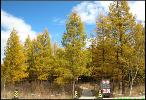 阿爾山大峽谷-杜鵑湖-石塘林-三潭峽 阿爾山大峽谷-杜鵑湖-石塘林-三潭峽