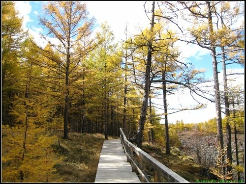 阿爾山大峽谷-杜鵑湖-石塘林-三潭峽 阿爾山大峽谷-杜鵑湖-石塘林-三潭峽