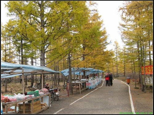 阿爾山大峽谷-杜鵑湖-石塘林-三潭峽