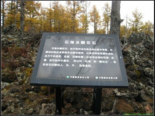 阿爾山大峽谷-杜鵑湖-石塘林-三潭峽 阿爾山大峽谷-杜鵑湖-石塘林-三潭峽