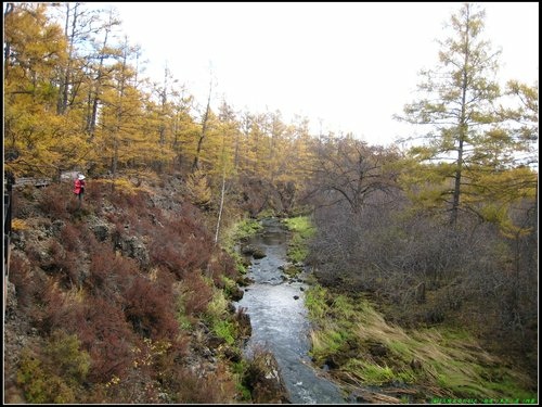 阿爾山大峽谷-杜鵑湖-石塘林-三潭峽