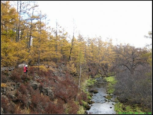 阿爾山大峽谷-杜鵑湖-石塘林-三潭峽 阿爾山大峽谷-杜鵑湖-石塘林-三潭峽