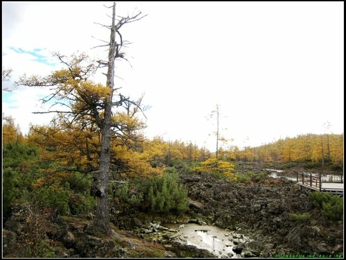 阿爾山大峽谷-杜鵑湖-石塘林-三潭峽 阿爾山大峽谷-杜鵑湖-石塘林-三潭峽