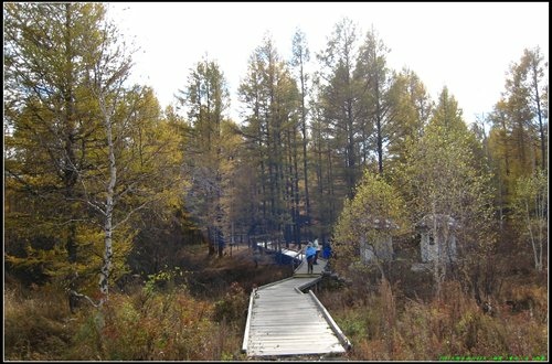 阿爾山大峽谷-杜鵑湖-石塘林-三潭峽 阿爾山大峽谷-杜鵑湖-石塘林-三潭峽