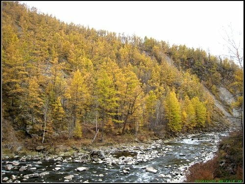 阿爾山大峽谷-杜鵑湖-石塘林-三潭峽