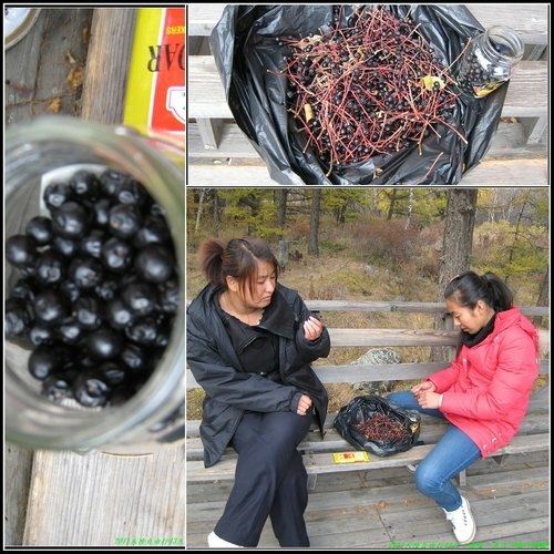 阿爾山大峽谷-杜鵑湖-石塘林-三潭峽