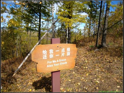 阿爾山- 駝峰嶺天池 阿爾山- 駝峰嶺天池