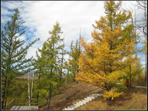 阿爾山- 駝峰嶺天池 阿爾山- 駝峰嶺天池